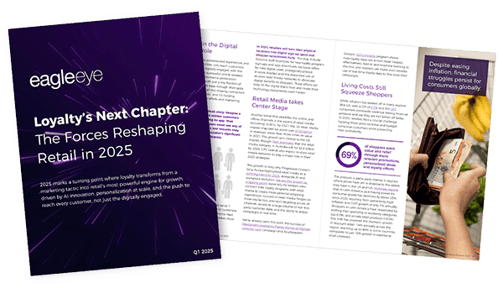 Investor Reports Presentations Eagle Eye Solutions