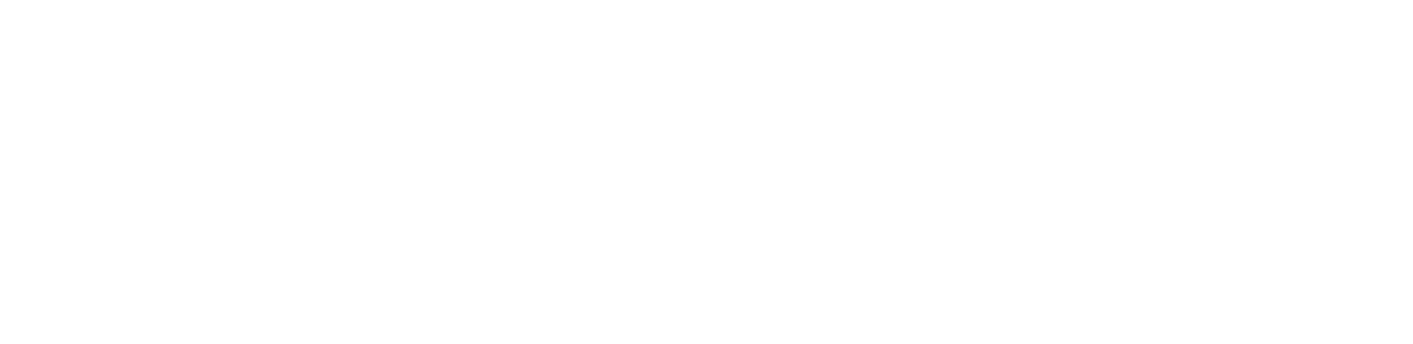 Winn Dixie Logo